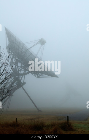 Les télescopes radio dans le brouillard à Westerbork, Pays-Bas Banque D'Images