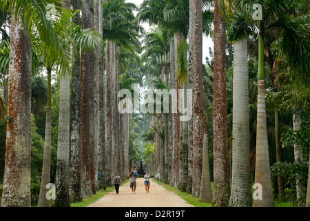 Jardim Botanico (Jardin Botanique), Rio de Janeiro, Brésil, Amérique du Sud Banque D'Images