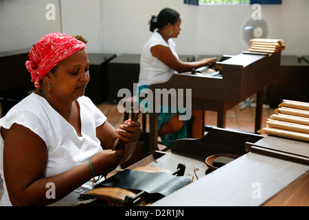 Les femmes à la fabrication des cigares Dannemann factory à Sao Felix, Bahia, Brésil, Amérique du Sud Banque D'Images
