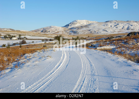 Route en hiver neige, Dumfries et Galloway, Écosse, Royaume-Uni, Europe Banque D'Images