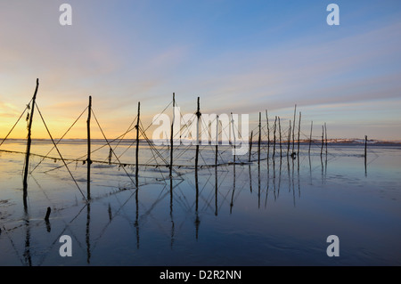 Les filets de pêche au saumon, Solway Firth, près de Creetown, Dumfries et Galloway, Écosse, Royaume-Uni, Europe Banque D'Images