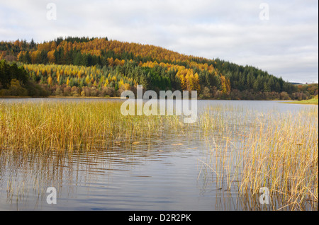 Loch Woodhall, près de Laurieston, Dumfries et Galloway, Écosse, Royaume-Uni, Europe Banque D'Images