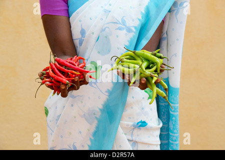 Village de l'Inde rurale woman holding fresh green et piments rouges dans ses mains. L'Andhra Pradesh, Inde Banque D'Images