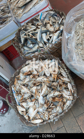 Têtes de poissons à vendre à une boutique sur Des Voeux Road (Rue de fruits de mer séchés), Sheung Wan, Hong Kong. Banque D'Images