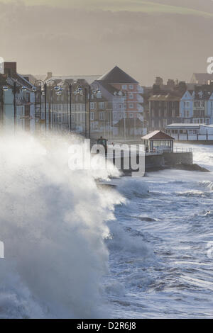 Aberystwyth, Pays de Galles, Royaume-Uni. 31 janvier 2013. Des vagues spectaculaires causés par des vents forts et une marée haute lash Aberystwyth promenade. Credit : atgof.co / Alamy Live News Banque D'Images