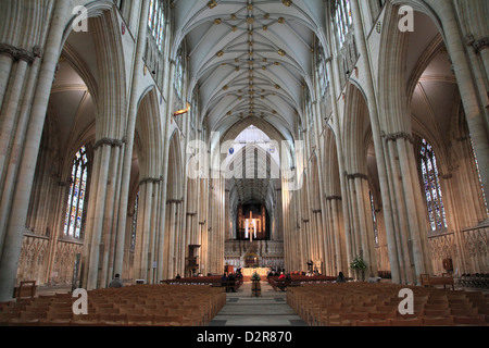 La cathédrale de York, York, Yorkshire, Angleterre, Royaume-Uni, Europe Banque D'Images