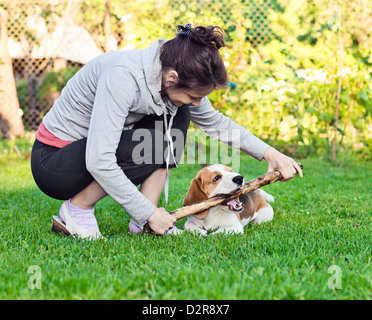 Femme et chien joue avec un bâton sur une pelouse Banque D'Images