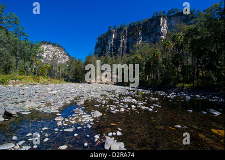 Qui traverse la Carnarvon Gorge, Queensland, Australie, Pacifique Banque D'Images