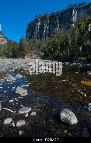 Qui traverse la Carnarvon Gorge, Queensland, Australie, Pacifique Banque D'Images