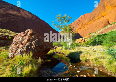 Les Olgas (Kata Tjuta), le Parc National d'Uluru-Kata Tjuta, UNESCO World Heritage Site, Territoire du Nord, Australie, Pacifique Banque D'Images