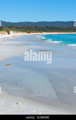 Baie de feu, ont voté l'une des plus belles plages du monde, Tasmanie, Australie, Pacifique Banque D'Images