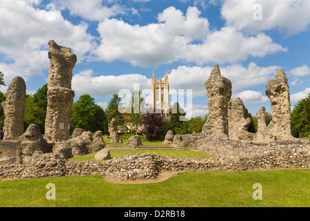 Ruines Cathédrale et Abbaye de Bury St Edmunds Suffolk Angleterre Banque D'Images