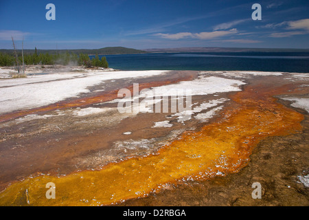 Run-off, près de Black Pool Printemps, West Thumb Geyser Basin, Parc National de Yellowstone, Wyoming, USA Banque D'Images