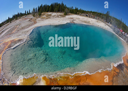 Black Pool, West Thumb Geyser Basin, Parc National de Yellowstone, Wyoming, USA Banque D'Images