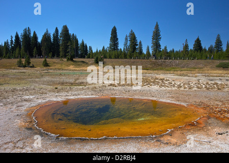 Thumb geyser, West Thumb Geyser Basin, Parc National de Yellowstone, Wyoming, USA Banque D'Images