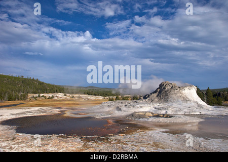 Castle Geyser, Upper Geyser Basin, Parc National de Yellowstone, Wyoming, USA Banque D'Images