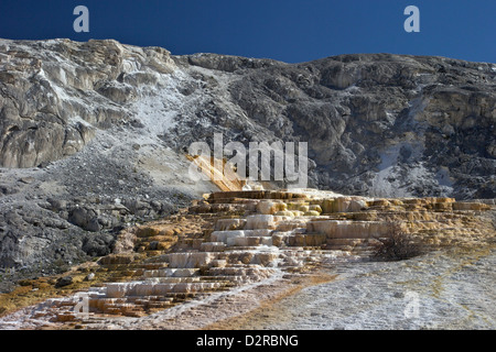 Terrasse monticule, Mammoth Hot Springs, Parc National de Yellowstone, Wyoming, USA Banque D'Images