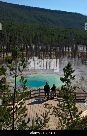 Au printemps, les visiteurs citerne Norris Geyser Basin Yellowstone, Site du patrimoine mondial de l'UNESCO, Wyoming, USA Banque D'Images