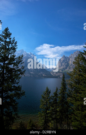 Jenny Lake, parc national de Grand Teton, Wyoming, États-Unis d'Amérique, Amérique du Nord Banque D'Images