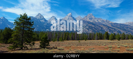 Vue panoramique de cathédrale de groupe près de Teton, participation des glaciers du parc national de Grand Teton, Wyoming, USA Banque D'Images