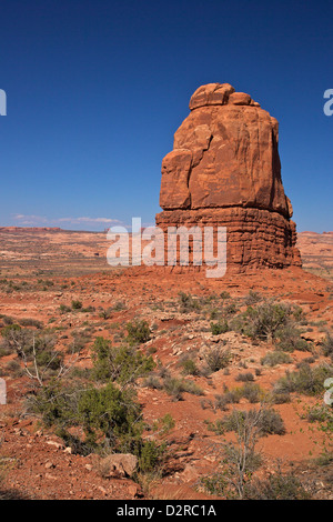 Rock Formation, Tours de palais de salon, Arches National Park, Utah, États-Unis d'Amérique, Amérique du Nord Banque D'Images