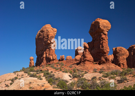 Jardin d'Eden, Arches National Park, Moab, Utah, États-Unis d'Amérique, Amérique du Nord Banque D'Images