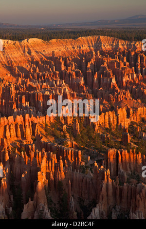 Sunrise de Bryce Point, Bryce Canyon National Park, Utah, États-Unis d'Amérique, Amérique du Nord Banque D'Images