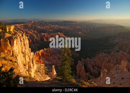 Sunrise de Bryce Point, Bryce Canyon National Park, Utah, États-Unis d'Amérique, Amérique du Nord Banque D'Images