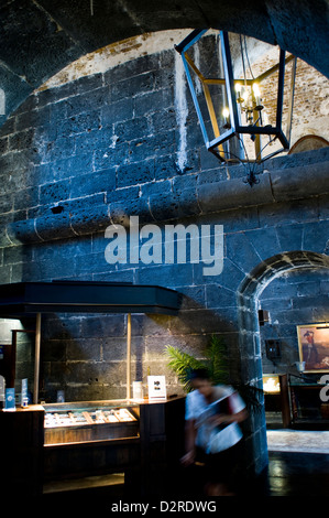 Fort adelaide intérieur, Port Louis, ile Maurice Banque D'Images