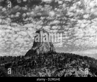 BW01065-00...WYOMING - Devils Tower dans Devils Tower National Monument Banque D'Images