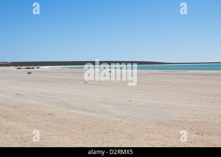 Shell Beach, la baie Shark, Australie occidentale Banque D'Images