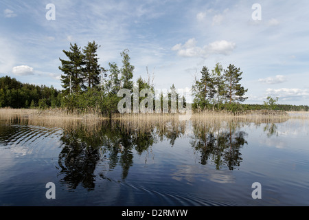 Dans le lac Haukivesi reflète islet, Parc National de Linnansaari, Finlande Banque D'Images