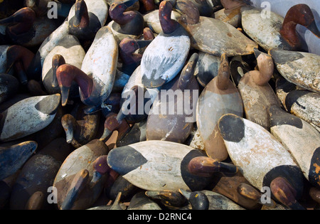 Leurres de canard fuligule au Musée de leurre à Havre de Grace dans le Maryland Banque D'Images