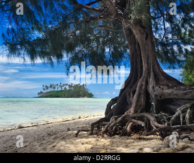 Les Îles Cook, Rarotonga, Muri Lagoon avec vue sur Moto Taakoka Banque D'Images