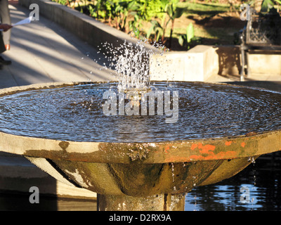 La lumière du soleil sur l'eau pétillante de tomber dans le bassin de débordement et petite fontaine au centre du Jardin de San Francisco Oaxaca Banque D'Images