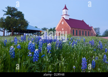 Art Église méthodiste et bluebonnets près de Mason, Texas Banque D'Images