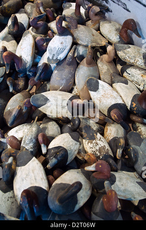 Leurres de canard fuligule au Musée de leurre à Havre de Grace dans le Maryland Banque D'Images