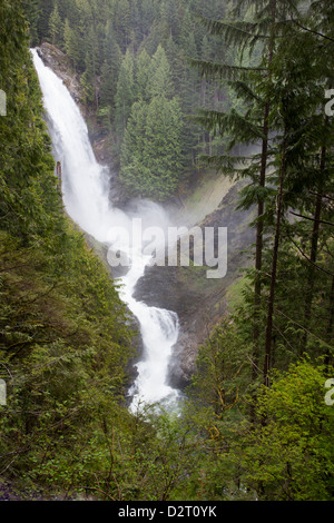 WA, Wallace Falls State Park, Wallace Falls, Wallace River plonge à 250 pieds Banque D'Images