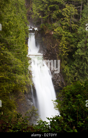 WA, Wallace Falls State Park, East Wallace Falls, sur la rivière Wallace Banque D'Images