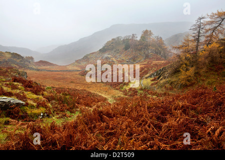 Castle Crag dans la brume près de Grange, Borrowdale, Parc National de Lake District, Cumbria, Angleterre, Royaume-Uni, Europe Banque D'Images