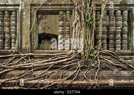 Ta Prohm Temple, Angkor, Site du patrimoine mondial de l'UNESCO, Siem Reap, Cambodge, Indochine, Asie du Sud-Est, l'Asie Banque D'Images