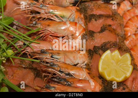 Langoustines dans le cadre d'un écran géant de fruits de mer Banque D'Images