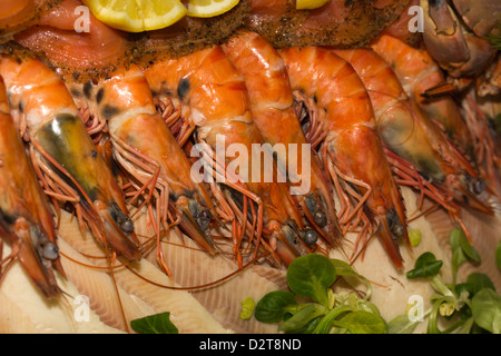 Langoustines dans le cadre d'un écran géant de fruits de mer Banque D'Images