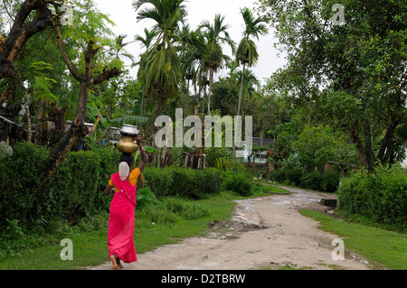 Femme portant de l'eau, de l'Assam, Inde, Asie Banque D'Images