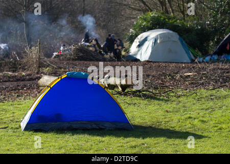 Des hugues d'arbres et des écologistes à Alexandra Park, dans le Grand Manchester, où de nombreux militants ont manifesté.Les manifestants ont installé des tentes de camp dans la zone sécurisée et construit un feu de camp.Des arbres sont coupés dans le parc Alexandra, dans la chaîne Whalley, dans le cadre d'une initiative de £5,5 millions du conseil municipal pour restaurer l'apparence victorienne du parc. Banque D'Images