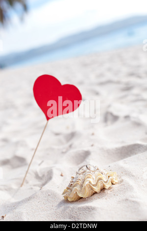 Saint-valentin fête sur la plage, des bagues de la shell Banque D'Images