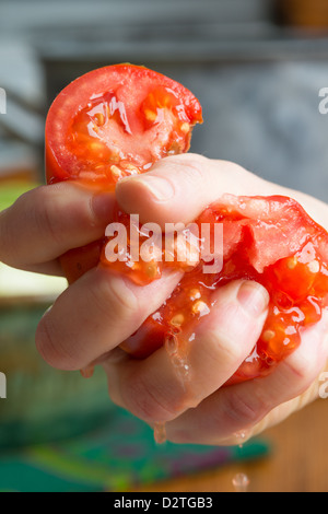 La tomate broyée en doigts Banque D'Images