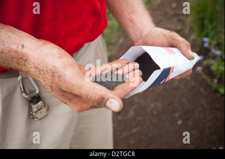 Poignée d'agriculteurs plantent des graines Banque D'Images