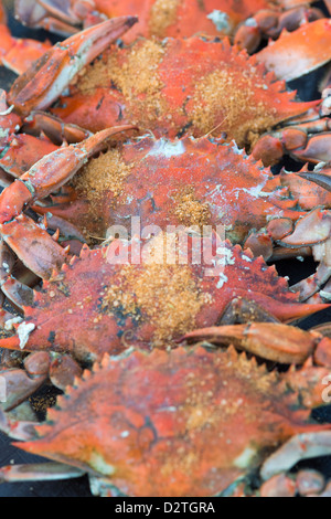 Les crabes à la vapeur avec assaisonnement Old Bay sur une jetée par le rivage Banque D'Images