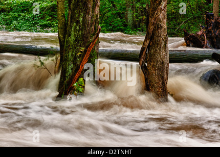 Les inondations le long de la rivière Brandywine Creek/Chester Comté PA. Banque D'Images